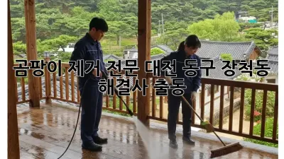 곰팡이 제거 전문🛠️ 대전 동구 장척동 해결사 출동!